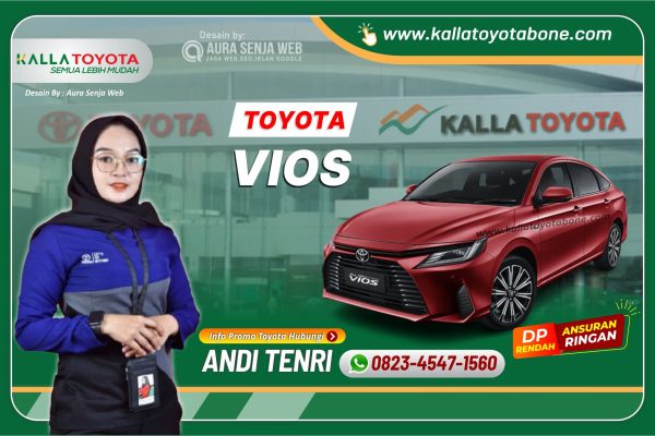 New Vios